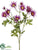 Daisy Spray - Lilac - Pack of 12