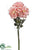 Dahlia Bundle - Pink Mauve - Pack of 12