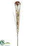 Silk Plants Direct Dandelion Spray - Brown - Pack of 24