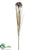 Dandelion Spray - Purple - Pack of 24