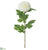 Dahlia Spray - White - Pack of 12