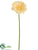 Gerbera Daisy Spray - Yellow Pearl - Pack of 12