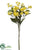 Daisy Bundle - Yellow - Pack of 12