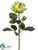 Dahlia Spray - Green Two Tone - Pack of 12