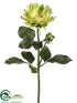 Silk Plants Direct Dahlia Spray - Green Two Tone - Pack of 12