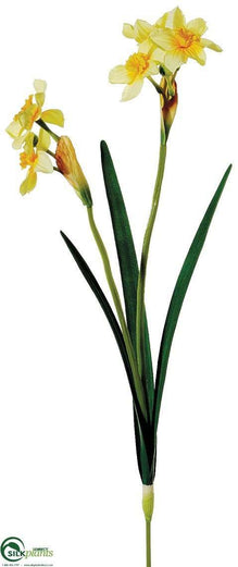 Daffodil Spray - White Yellow Yellow Yellow - Pack of 12