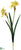 Daffodil Spray - White Yellow Yellow Yellow - Pack of 12