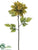Dahlia Spray - Olive Green - Pack of 12