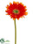 Gerbera Daisy Spray - Flame - Pack of 12