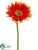 Gerbera Daisy Spray - Flame - Pack of 12