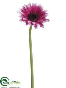 Gerbera Daisy Spray - Orchid - Pack of 12