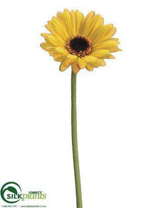 Gerbera Daisy Spray - Yellow Gold - Pack of 12