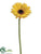 Gerbera Daisy Spray - Yellow Gold - Pack of 12