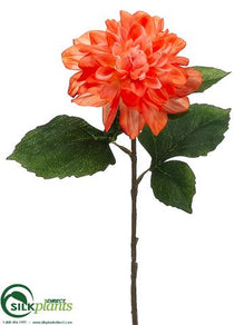 Dahlia Spray - Coral - Pack of 12