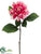 Dahlia Spray - Fuchsia Cream - Pack of 12