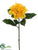 Dahlia Spray - Yellow - Pack of 12