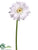 Gerbera Daisy Spray - White - Pack of 12