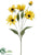 Forest Daisy Spray - Yellow - Pack of 12