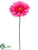 Gerbera Daisy Spray - Cerise - Pack of 6