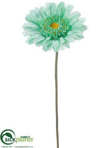 Gerbera Daisy Spray - Seafoam - Pack of 6