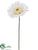 Silk Plants Direct Gerbera Daisy Spray - White - Pack of 6