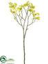 Silk Plants Direct Dogwood Spray - Lime - Pack of 12