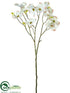 Silk Plants Direct Dogwood Spray - White - Pack of 12