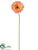 Silk Plants Direct Gerbera Daisy Spray - Cerise Cream - Pack of 24