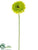 Silk Plants Direct Gerbera Daisy Spray - Lime - Pack of 24