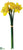 Daffodil Bundle - Yellow - Pack of 12