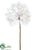 Silk Plants Direct Dandelion Spray - Cream - Pack of 2