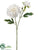Lace Dahlia Spray - Ivory - Pack of 12