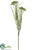 Wild Dill Spray - Green - Pack of 24