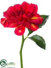 Dahlia Spray - Tomato Red - Pack of 24