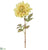 Dahlia Spray - Vanilla - Pack of 12