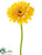 Gerbera Daisy Spray - Yellow Soft - Pack of 24