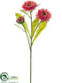 Silk Plants Direct Daisy Spray - Cerise - Pack of 12