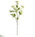Silk Plants Direct Dogwood Seed Spray - Cream Green - Pack of 12