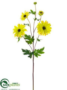 Daisy Spray - Lime - Pack of 12
