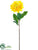 Dahlia Spray - Yellow - Pack of 12