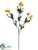 Daisy Spray - Yellow - Pack of 12