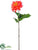 Dahlia Spray - Coral - Pack of 12