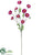 Silk Plants Direct Aster Daisy Spray - Boysenberry - Pack of 12