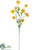Silk Plants Direct Aster Daisy Spray - Yellow - Pack of 12