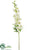 Delphinium Spray - Cream - Pack of 12