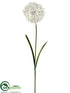 Silk Plants Direct Dandelion Spray - Cream - Pack of 12