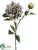 Dahlia Spray - Avocado Lavender - Pack of 12