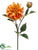 Dahlia Spray - Honey Coral - Pack of 12