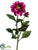 Dahlia Spray - Fuchsia Pink - Pack of 12