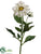 Dahlia Spray - White - Pack of 12